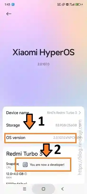 03_enable_developer_mode_10_06_2025