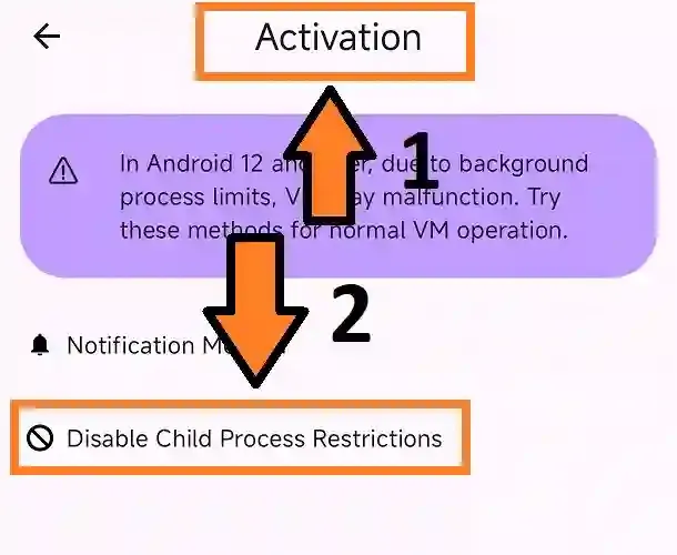 vm_activation_disable_child_process_restrictions_08_06_2025